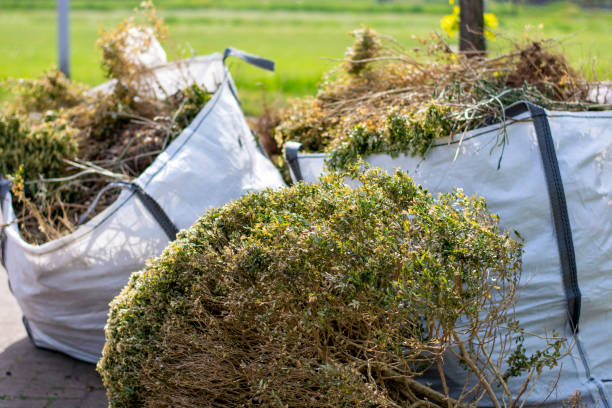 Best Junk Removal for Businesses  in Placerville, CA